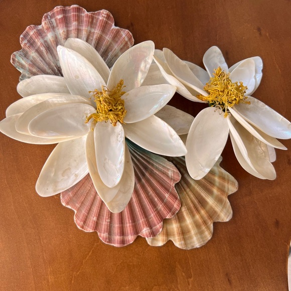 Shell magnolia pearlescent home decor mid century modern - Picture 5 of 9